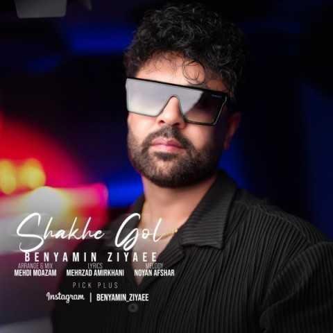 دانلود آهنگ بنیامین ضیایی دلم تنگه برای دیدن تو این روزا