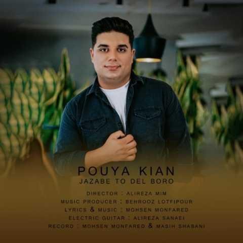 دانلود آهنگ پویا کیان یه شهرو میکنی دیوونه