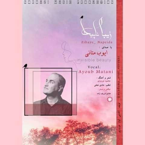 دانلود آهنگ ایوب متانی هان که رها کنم دلم دور زمن غبار غم