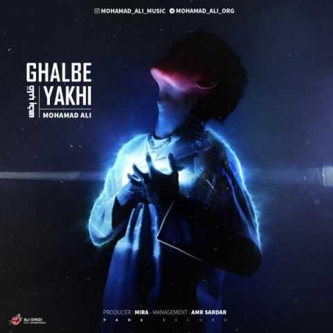 دانلود آهنگ محمد علی قلب یخی