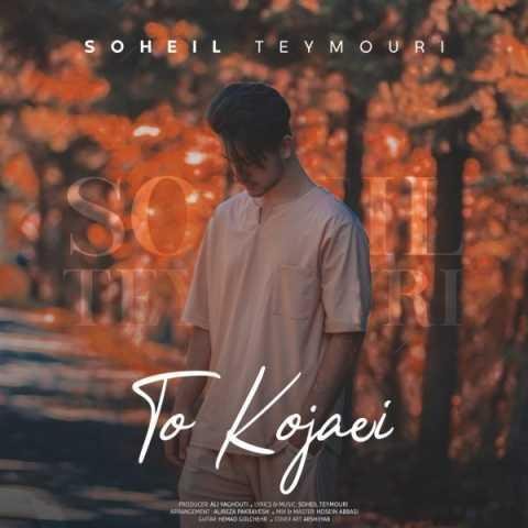 دانلود فول آلبوم سهیل تیموری ♪ پلی لیست سهیل تیموری