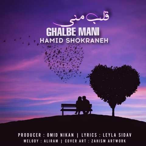 دانلود فول آلبوم حمید شکرانه ♪ پلی لیست حمید شکرانه