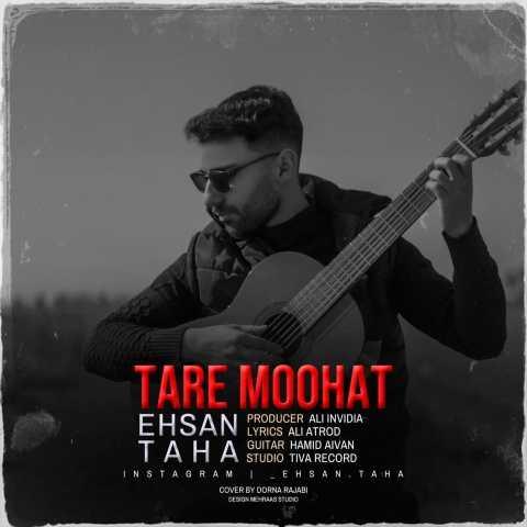 دانلود آهنگ احسان طاها زنگ میزنی تا میام بهت زنگ بزنم