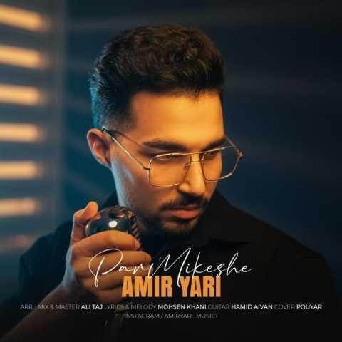 دانلود آهنگ امیر یاری پر میکشه