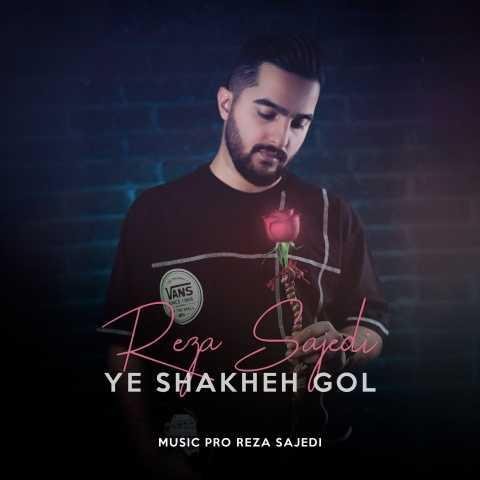 دانلود آهنگ رضا ساجدی یه شاخه گل