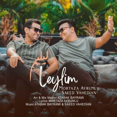 دانلود فول آلبوم مرتضی آیرملو و سعید واحدیان ♪ پلی لیست مرتضی آیرملو و سعید واحدیان