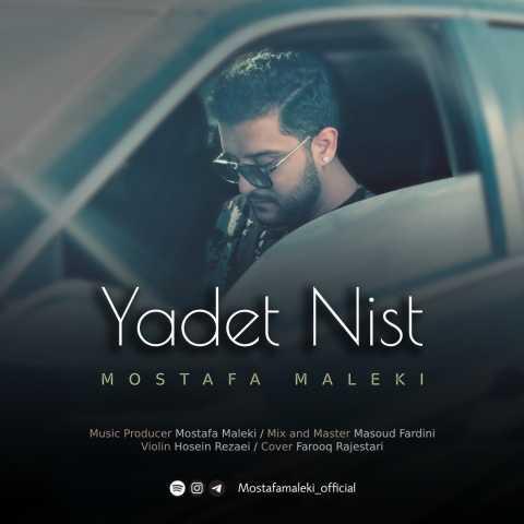 دانلود فول آلبوم مصطفی ملکی ♪ پلی لیست مصطفی ملکی