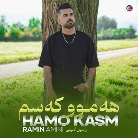 دانلود آهنگ رامین امینی هەموو کەسم