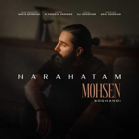 دانلود آهنگ محسن سوقندی ناراحتم