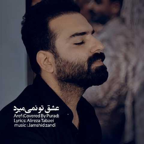 دانلود فول آلبوم پوراد ♪ پلی لیست پوراد