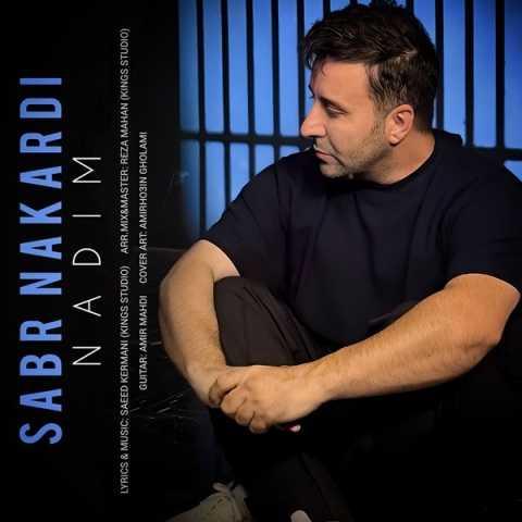 دانلود آهنگ ندیم صبر نکردی