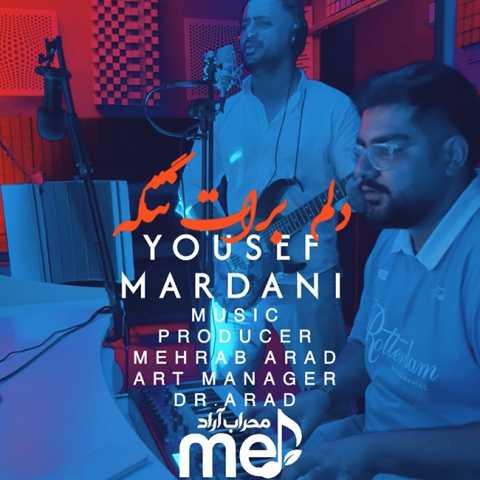 دانلود فول آلبوم یوسف مردانی ♪ پلی لیست یوسف مردانی